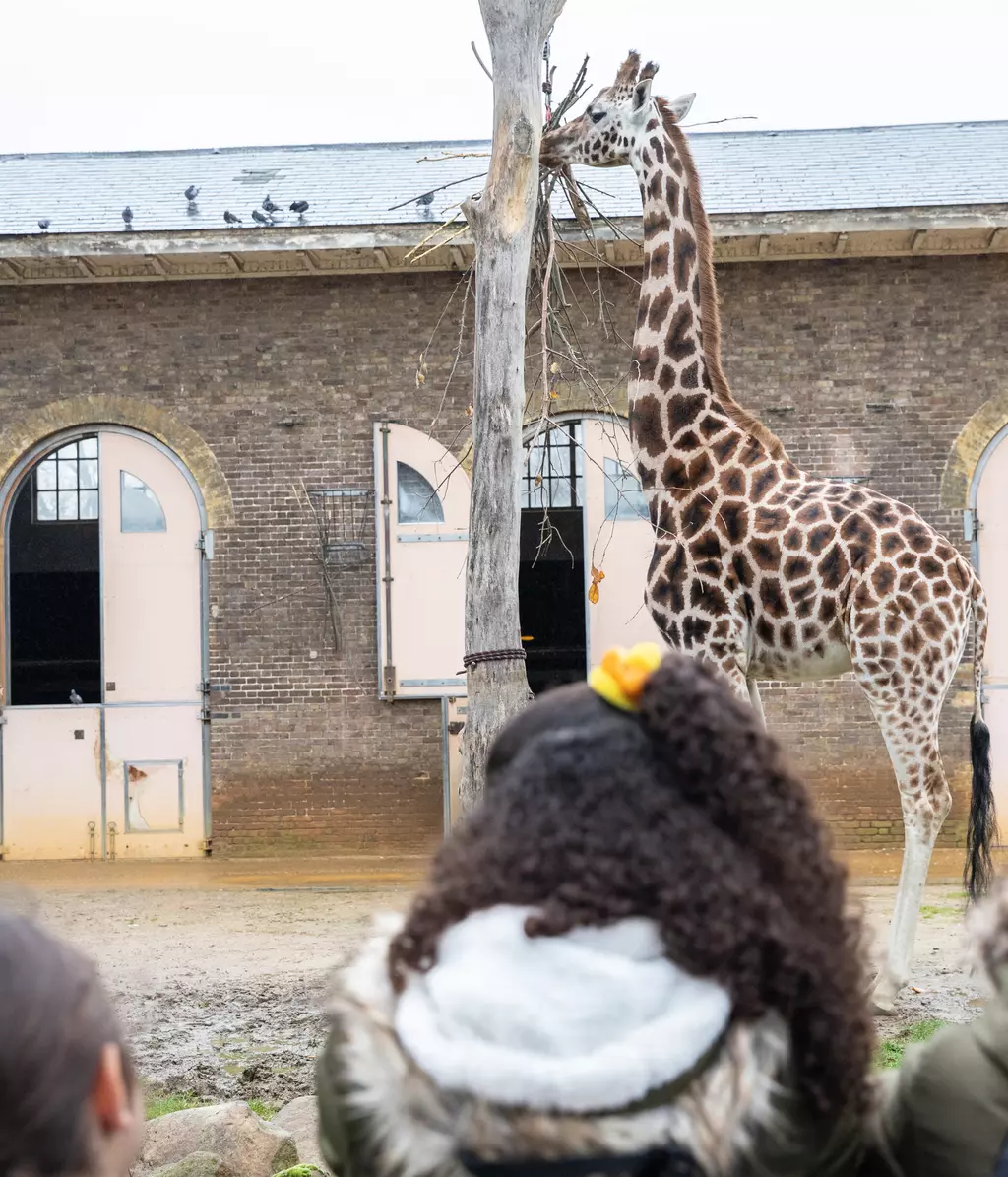 London Zoo Education Prices | London Zoo